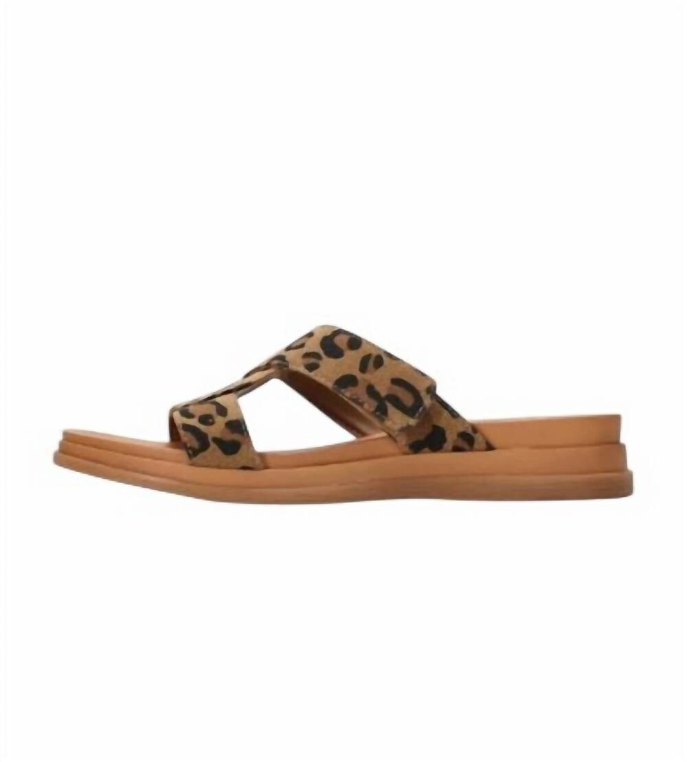 NEW PROJECT CLOUD women's nimble sandal in leopard